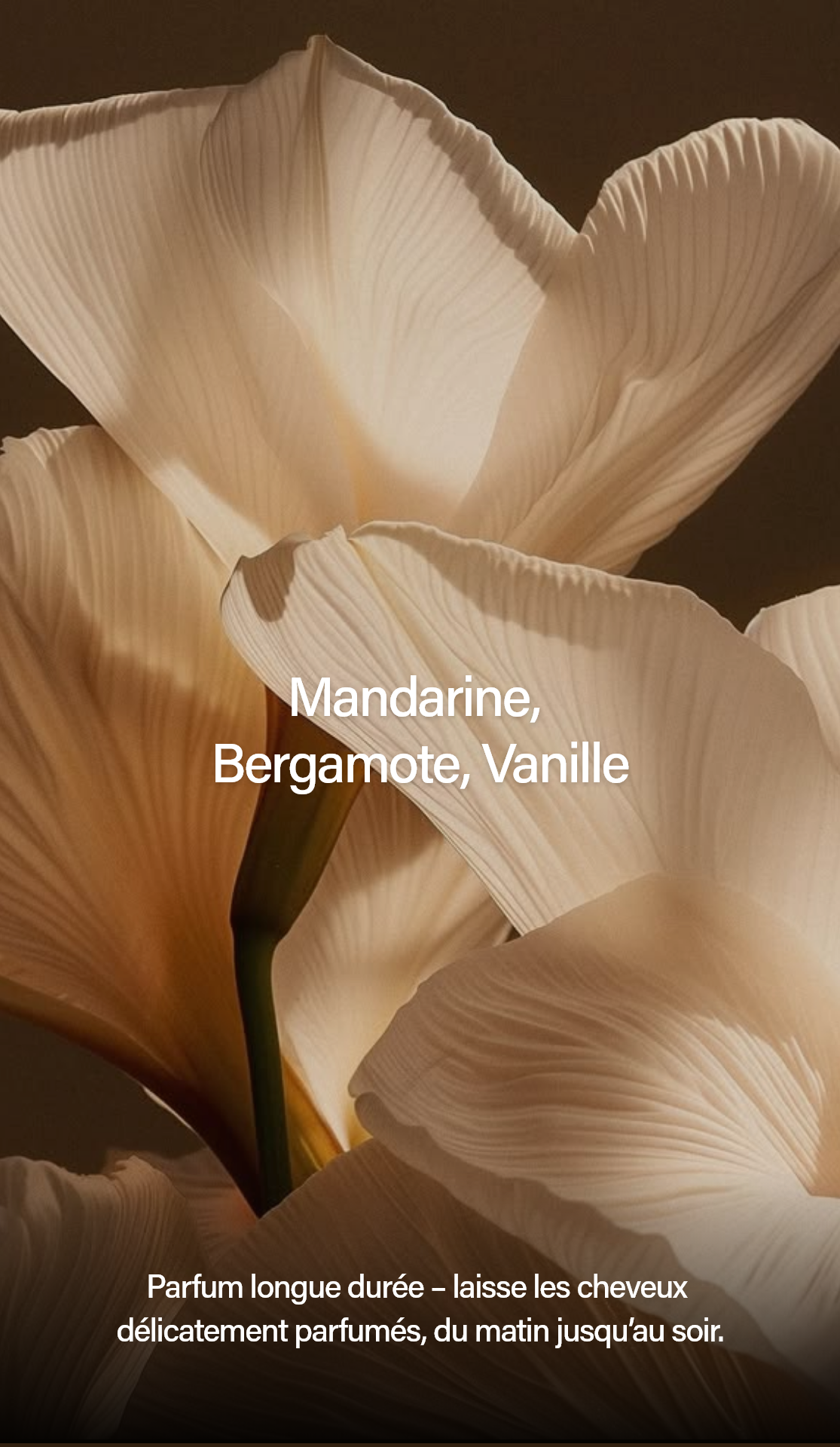 Keune Style parfum capillaire luxueux infusé d’huile